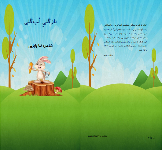 کتاب چاپی
