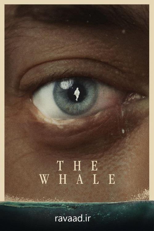 تحلیل روانشناختی فیلم نهنگ The whale