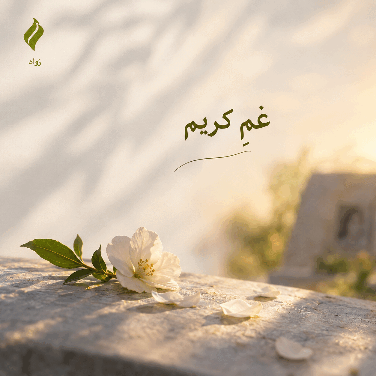 آثار مهارت‌ آموزان نویسندگی بزرگسال آکادمی رواد | داستان کوتاه «دروغ می‌گن خاک سرده» | روایتی از سوگ، مادری و بازگشت شادی